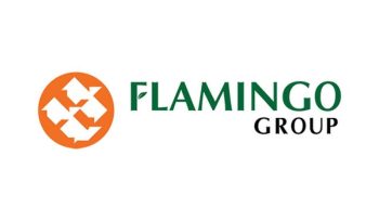 flamingo-group-log